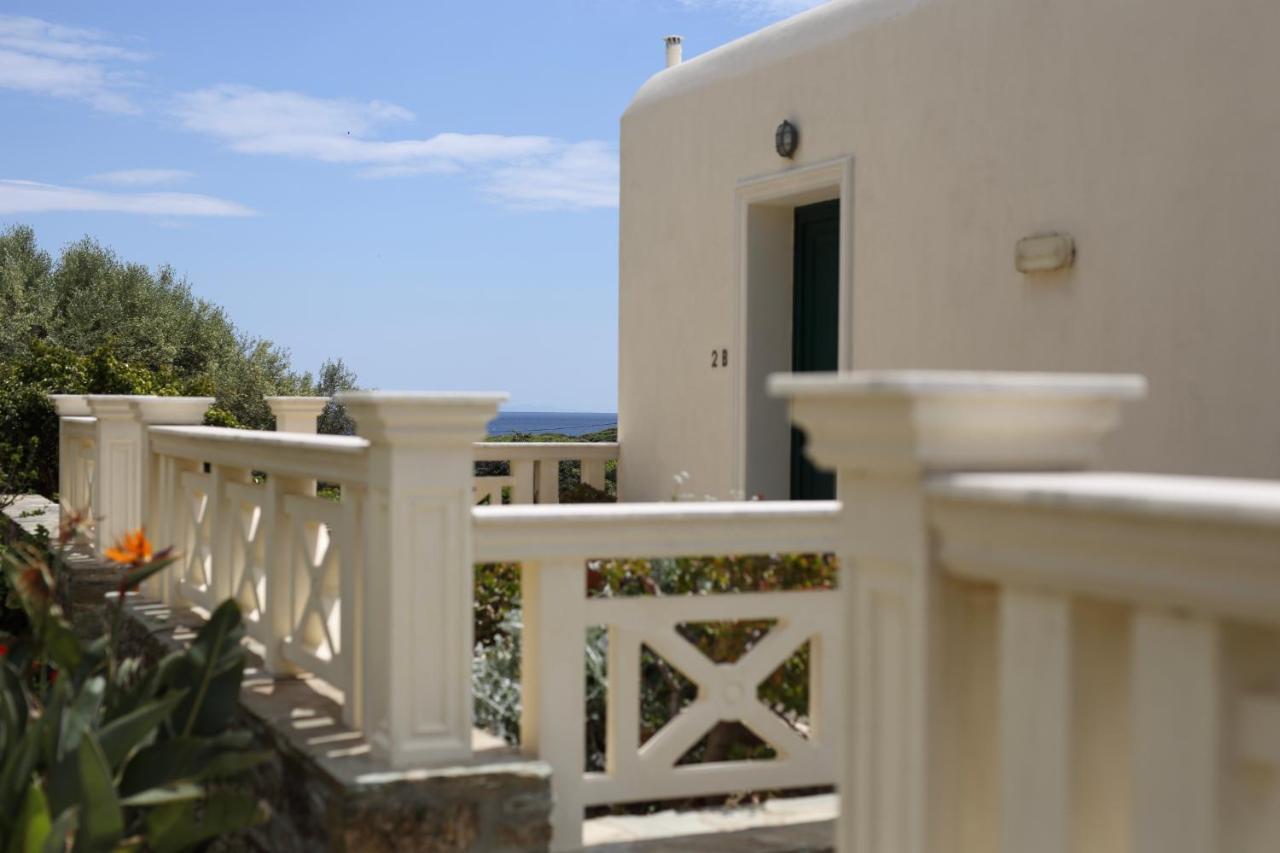 Villa Aithra -Agios Petros Andros Gavrio Exterior foto
